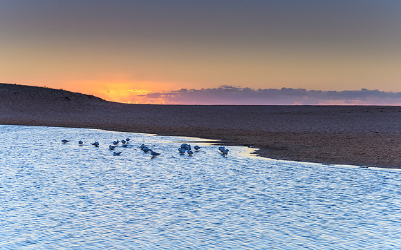 Sunrise Lagoon Waterscape