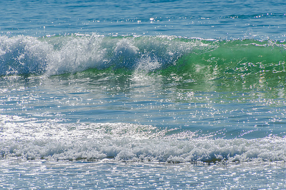 Beauty in the sea