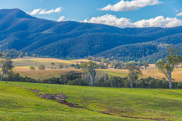 Road trippin through the Monaro Region