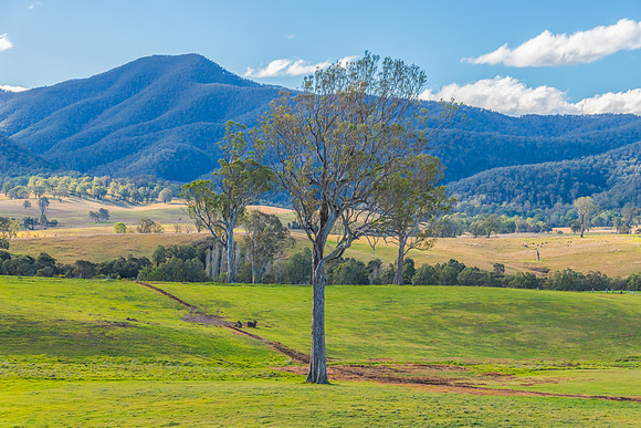 Road trippin through the Monaro Region