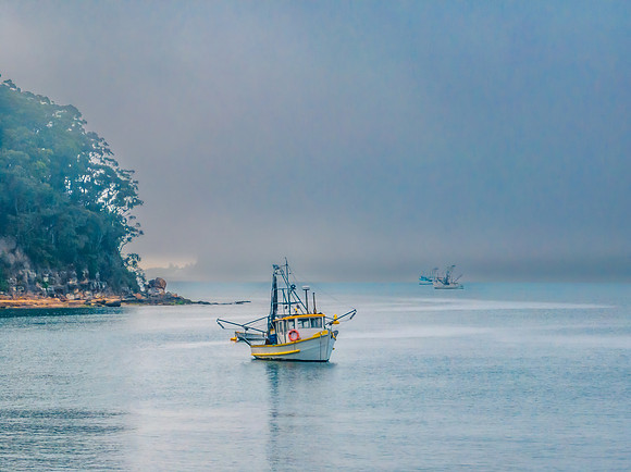 One foggy morning over the bay