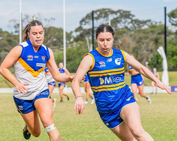 WPD Semi Final - Parramatta v Sydney Uni - 8 September 2024