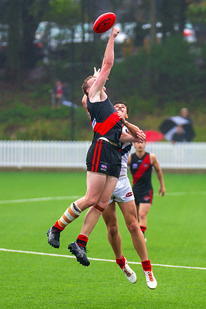Rd 1 MPD - North Shore v Pennant Hills - 29 March 2025