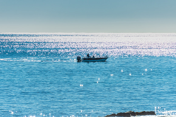 Sparkling Morning Fish on the Deep Blue Sea