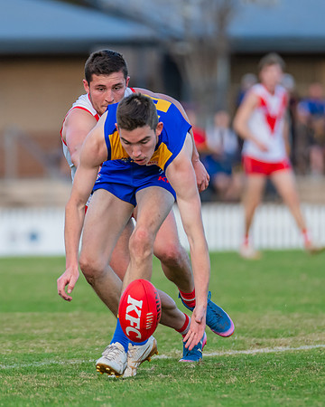 Rd 17 MPD - East Coast v St George - 17 August 2024