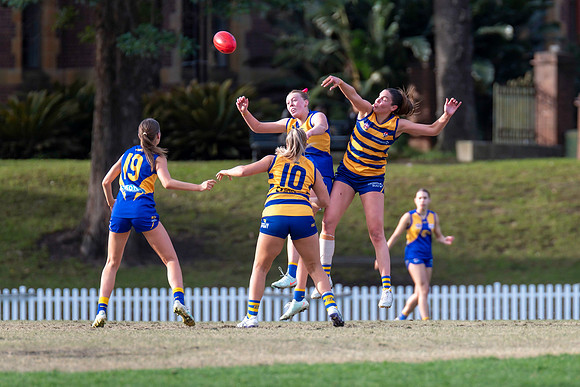 Rd 12 WPD - Sydney Uni v East Coast - 5 July 2025
