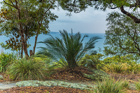 Back to Nature - Ku-ring-gai Chase National Park