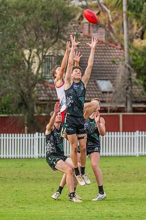 Rd 7 MPD - St George v UTS - 25 May 2024