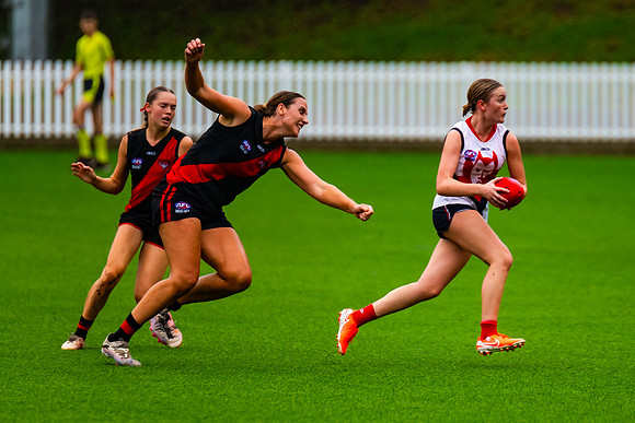 Rd 1 WPD - North Shore v Pennant Hills - 29 March 2025