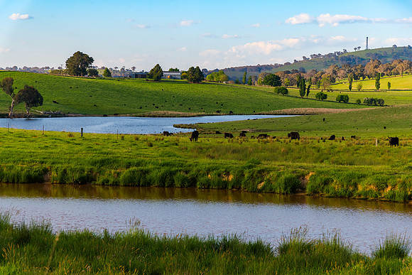 Carcoar Dam and scenic countryside
