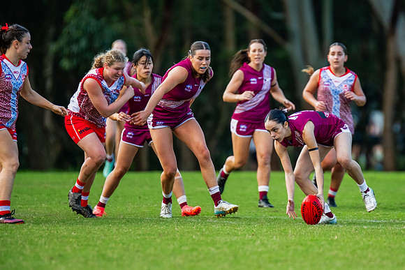 Rd 6 WPD - St George v Manly Warringah - 17 May 2025