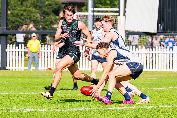 Rd 8 MPD - UTS v SWS - 31 May 2025