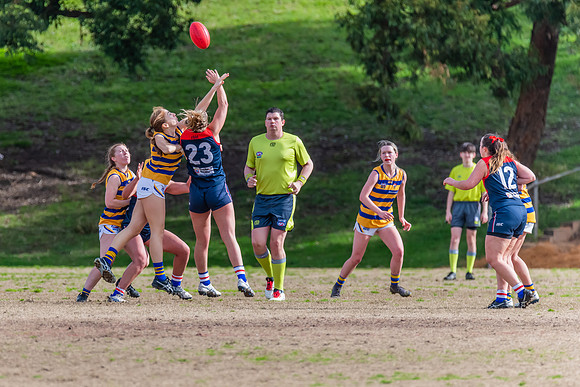 Rd 14 WPD - Pennant Hills v Sydney Uni - 16 July 2022