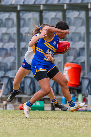 WPD Semi Final - Parramatta v Sydney Uni - 8 September 2024