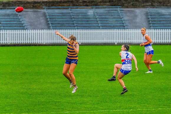 Rd 8 WPD - UNSW-ES v Sydney Uni - 1 June 2024