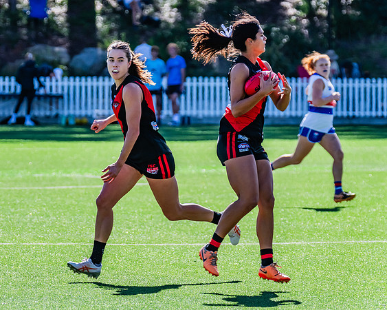 Rd 4 WPD - North Shore v UNSW-ES - 27 April 2024