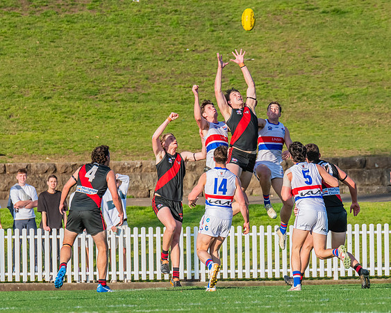 Rd 16 MPD - UNSW-ES v North Shore - 10 August 2024