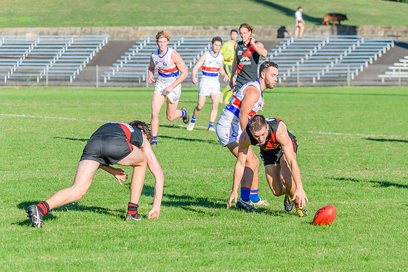 Rd 6 MPD - UNSW ES v North Shore - 14 May 2022
