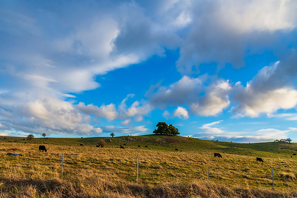 Late afternoon views over the countryside near Braidwood
