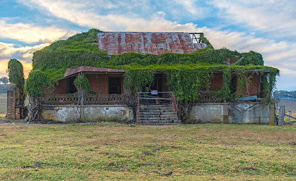 The ruins of the original Clevedon Homestead