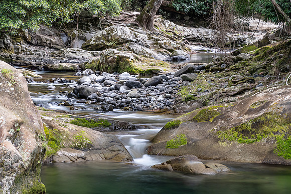 Colours of Green in the River Bed