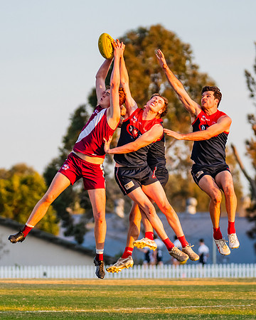 MPD Preliminary Final - Pennant Hills v Manly-Warringah - 14 Sep