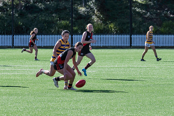 Rd 3 WPD - North Shore v Sydney Uni - 23 April 2022