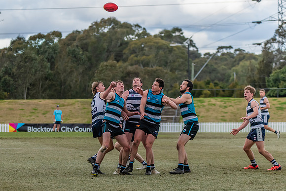 Platinum Div Preliminary Final - Southern Power v Camden Cats -