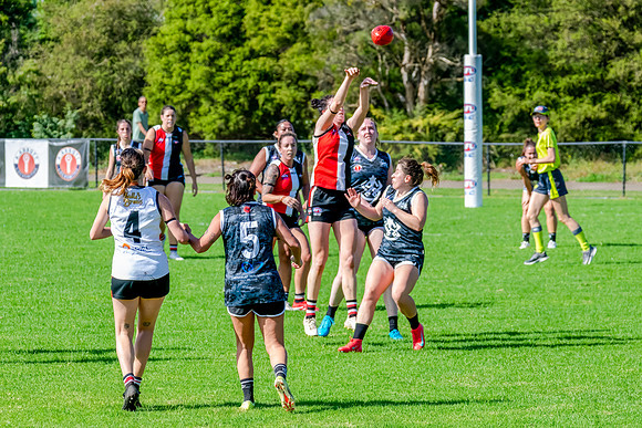 Rd 4 WD2 - Inner West v Randwick City - 25 April 2025