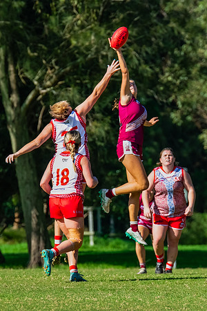 Rd 6 WPD - St George v Manly Warringah - 17 May 2025