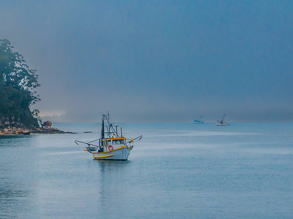 One foggy morning over the bay
