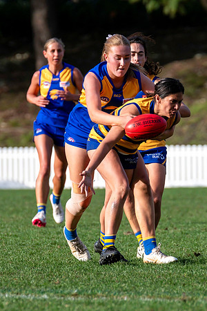 Rd 12 WPD - Sydney Uni v East Coast - 5 July 2025