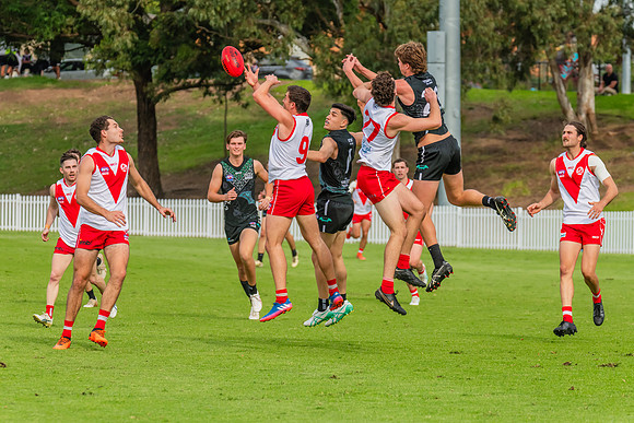 Rd 7 MPD - St George v UTS - 25 May 2024