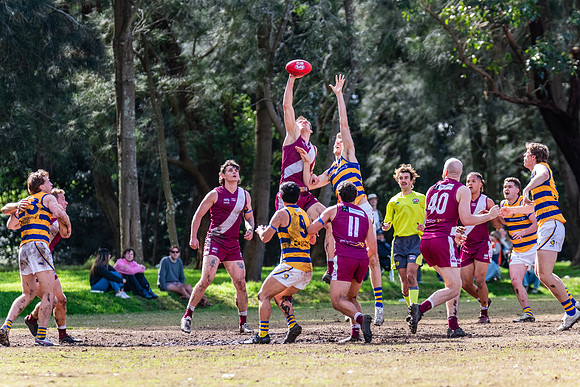 Rd 17 MPD - Manly Warringah v Sydney Uni - 16 August 2025