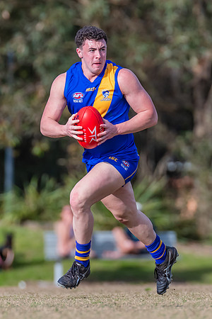 Black Diamond Plate Men's Nelson Bay v Newcastle City - 17 Septe