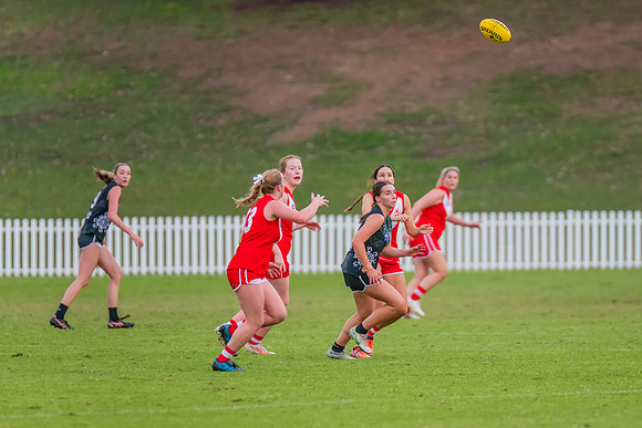 Rd 7 WPD - St George v UTS - 25 May 2024