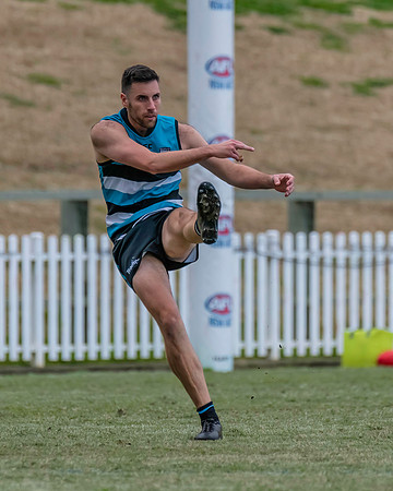 Platinum Div Preliminary Final - Southern Power v Camden Cats - 27 August 2022