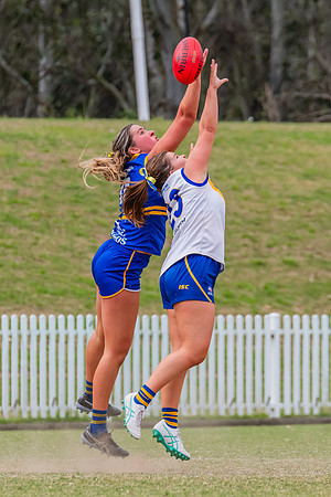 WPD Semi Final - Parramatta v Sydney Uni - 8 September 2024