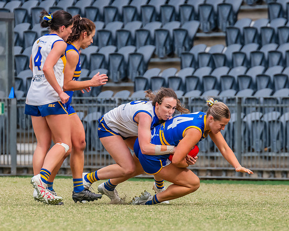 WPD Semi Final - Parramatta v Sydney Uni - 8 September 2024