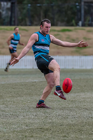 Platinum Div Preliminary Final - Southern Power v Camden Cats - 27 August 2022