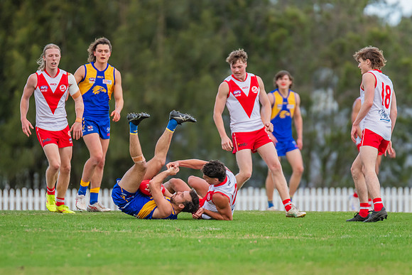 Rd 17 MPD - East Coast v St George - 17 August 2024