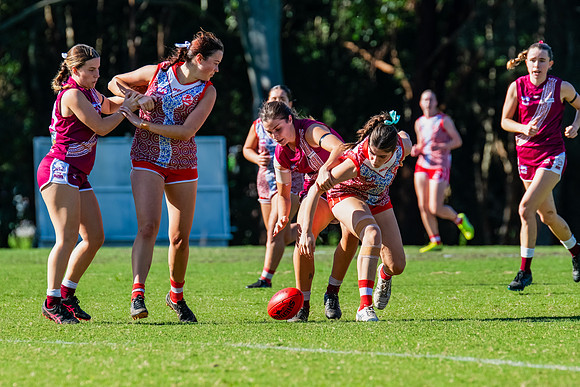 Rd 6 WPD - St George v Manly Warringah - 17 May 2025