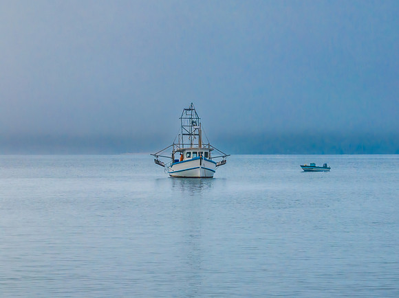 One foggy morning over the bay