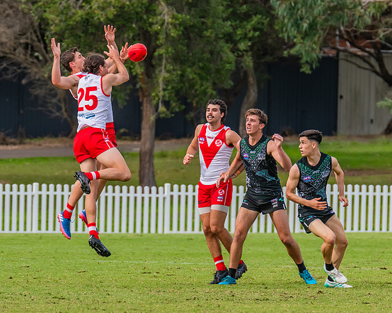 Rd 7 MPD - St George v UTS - 25 May 2024