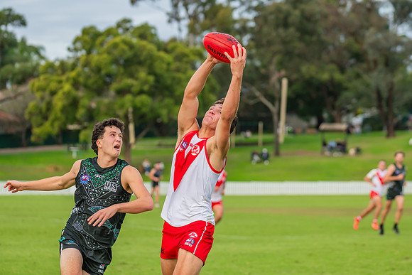 Rd 7 MPD - St George v UTS - 25 May 2024