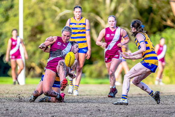Rd 17 WPD - Manly Warringah v Sydney Uni - 16 August 2025