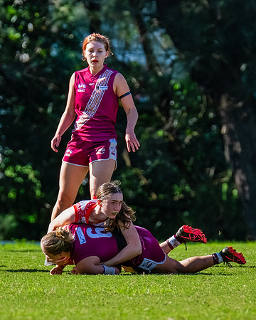 Rd 6 WPD - St George v Manly Warringah - 17 May 2025