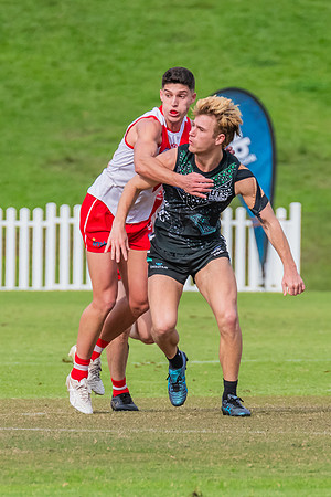 Rd 7 MPD - St George v UTS - 25 May 2024
