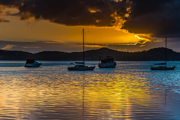 Gold on the Bay