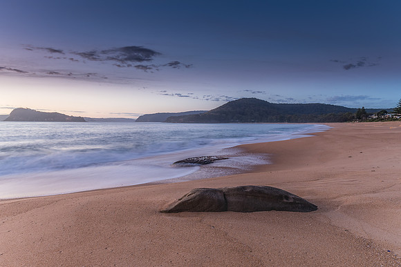 Sunrise at Pearl Beach